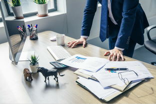 網(wǎng)站建設(shè)與維護(hù) 構(gòu)筑數(shù)字門(mén)面的持續(xù)生命力